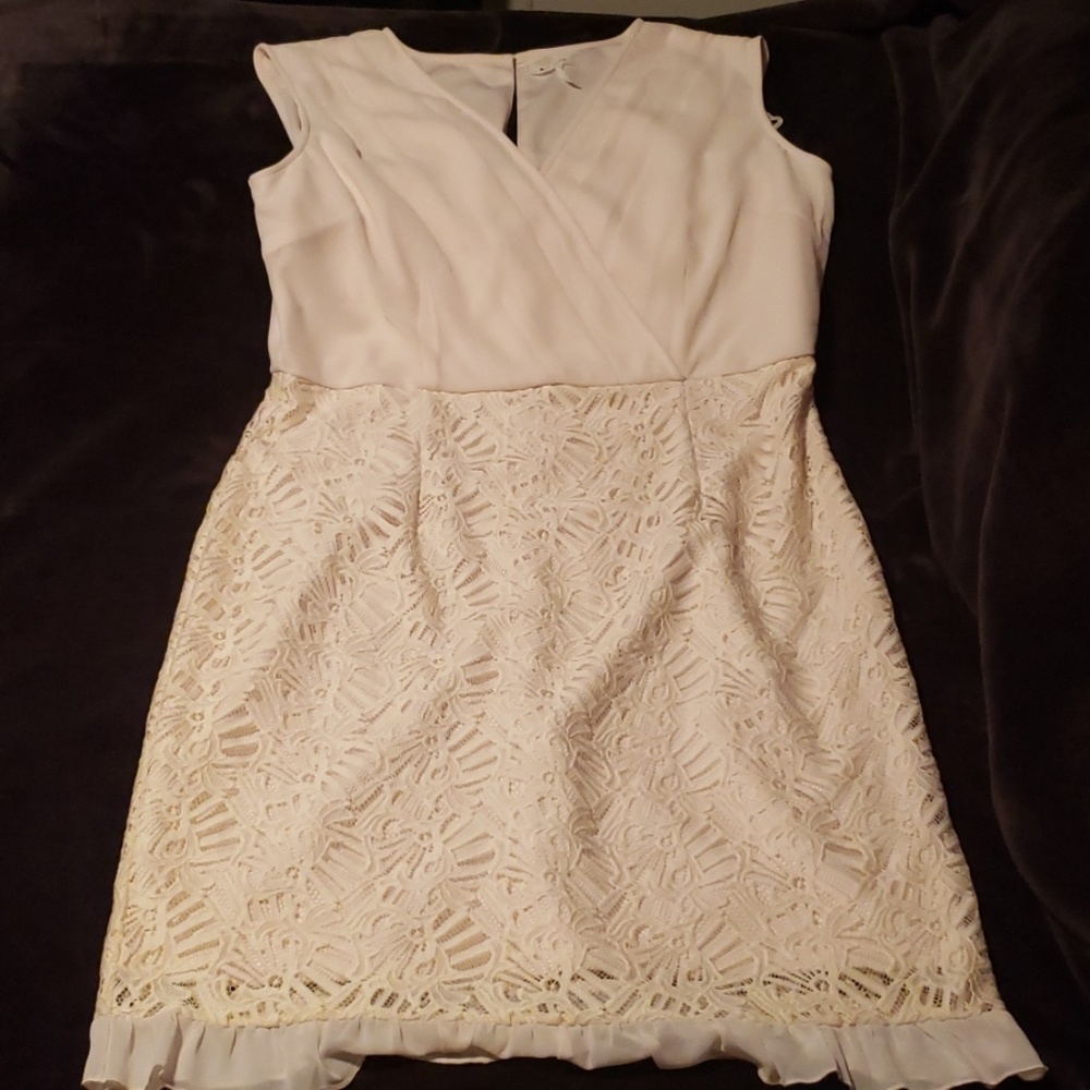 Lace Blush Dress